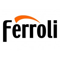 Ανταλλακτικά λεβητών ξύλου - pellet FERROLI